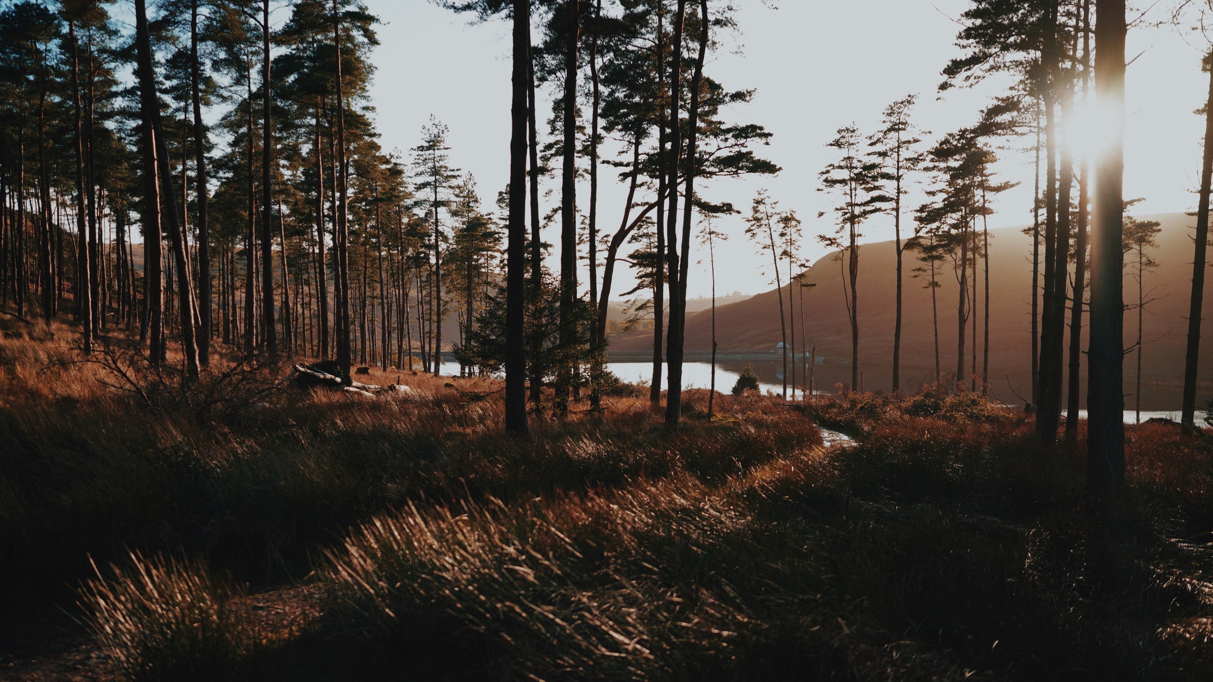 CHRISTMAS GIFT GUIDE VOL. 1: COFFEE & UNIQUE GIFTS