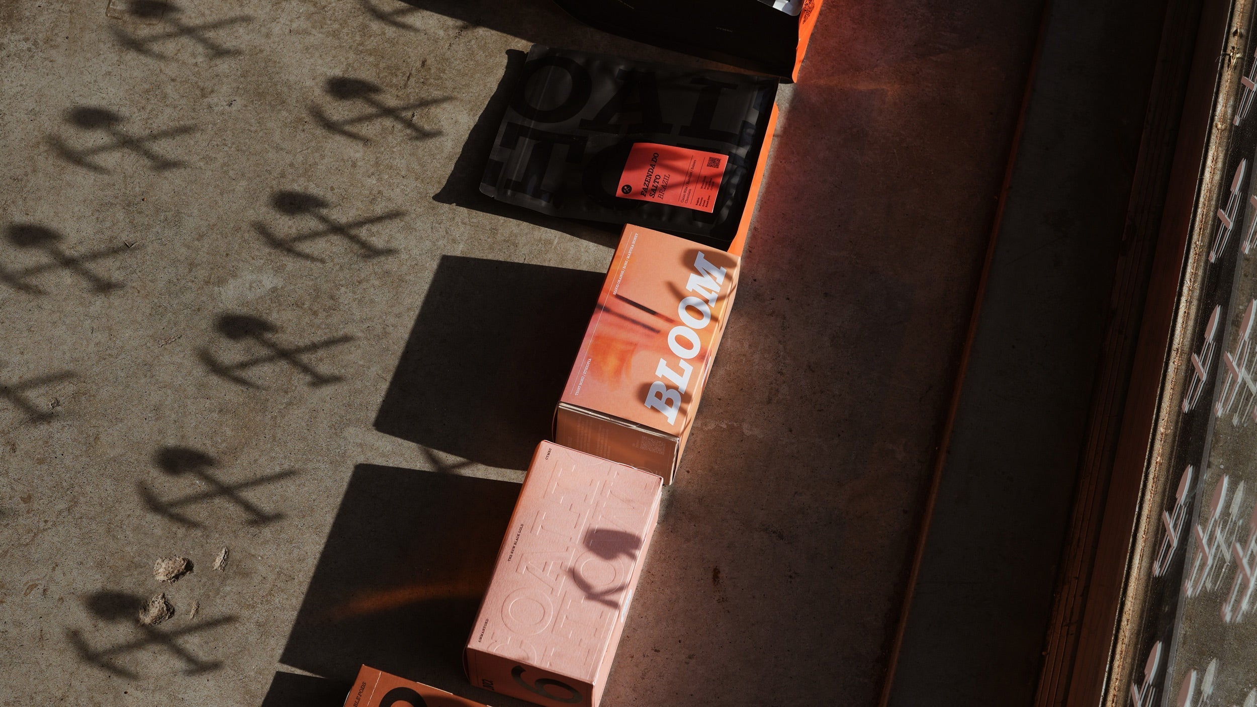 B Corp Month: What Makes Our Packaging Sustainable