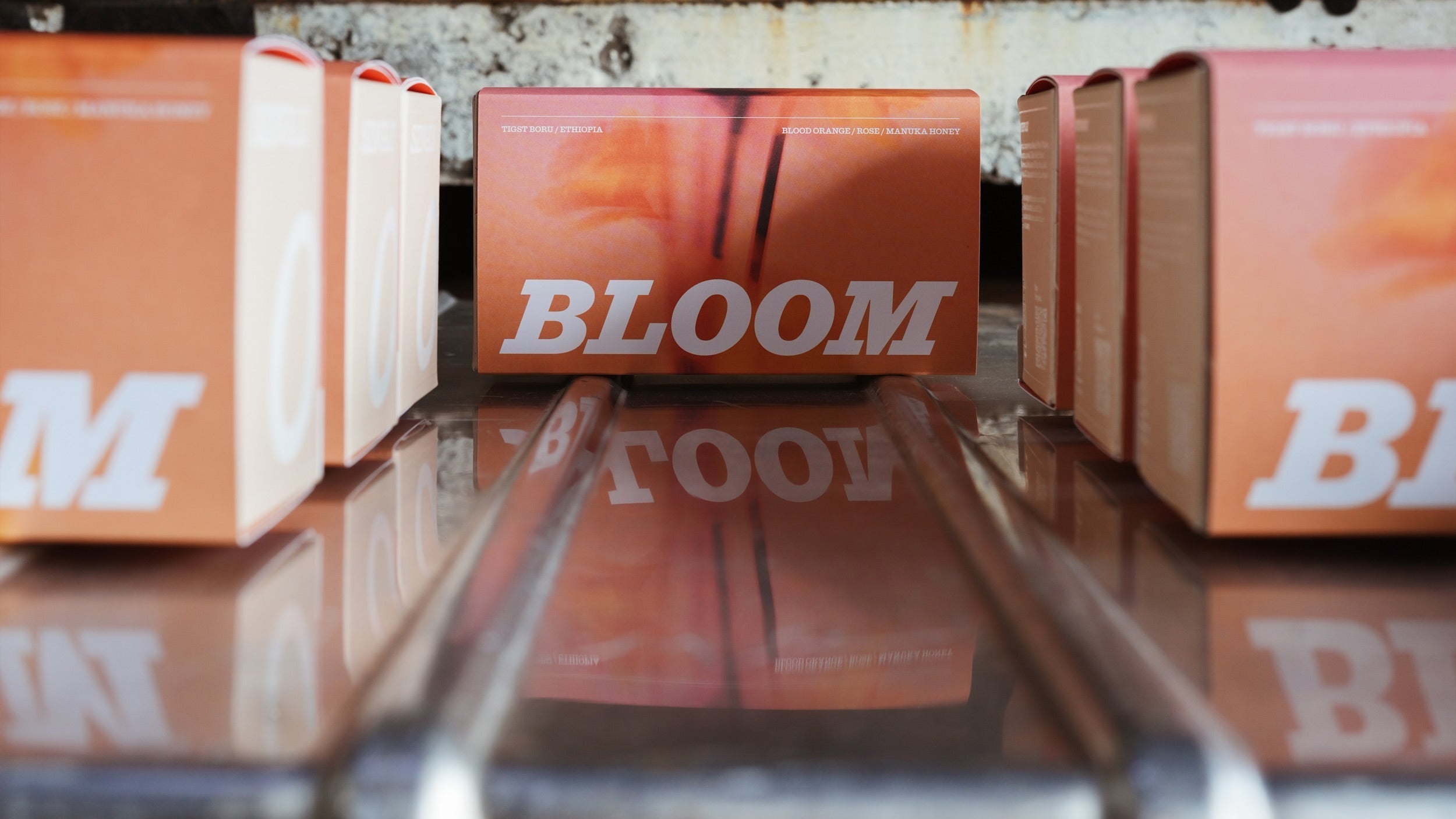 From Conversation to Community: The Story of The Jac Lewis Foundation