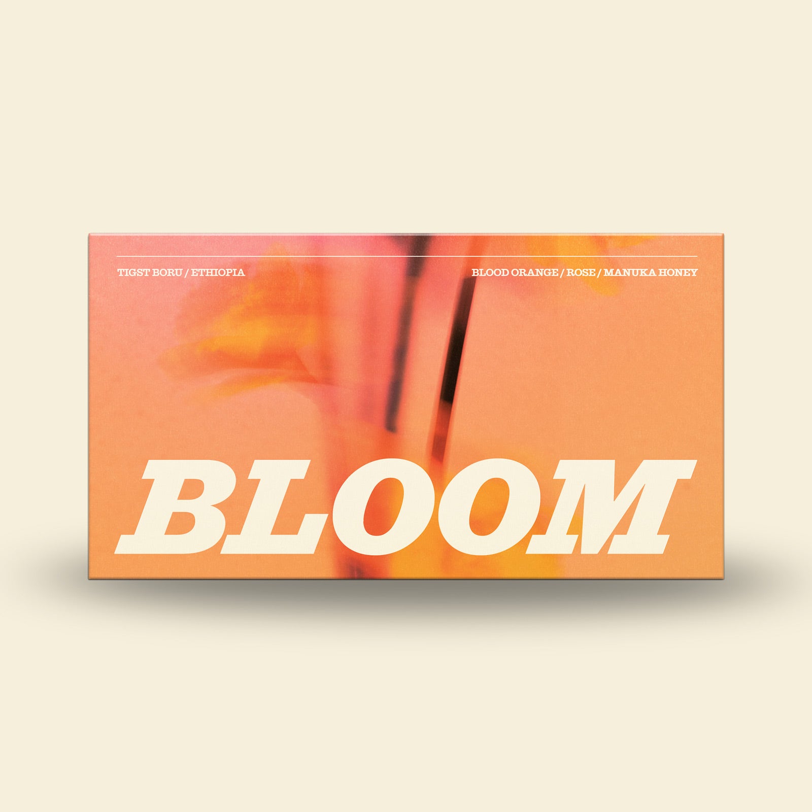 Bloom