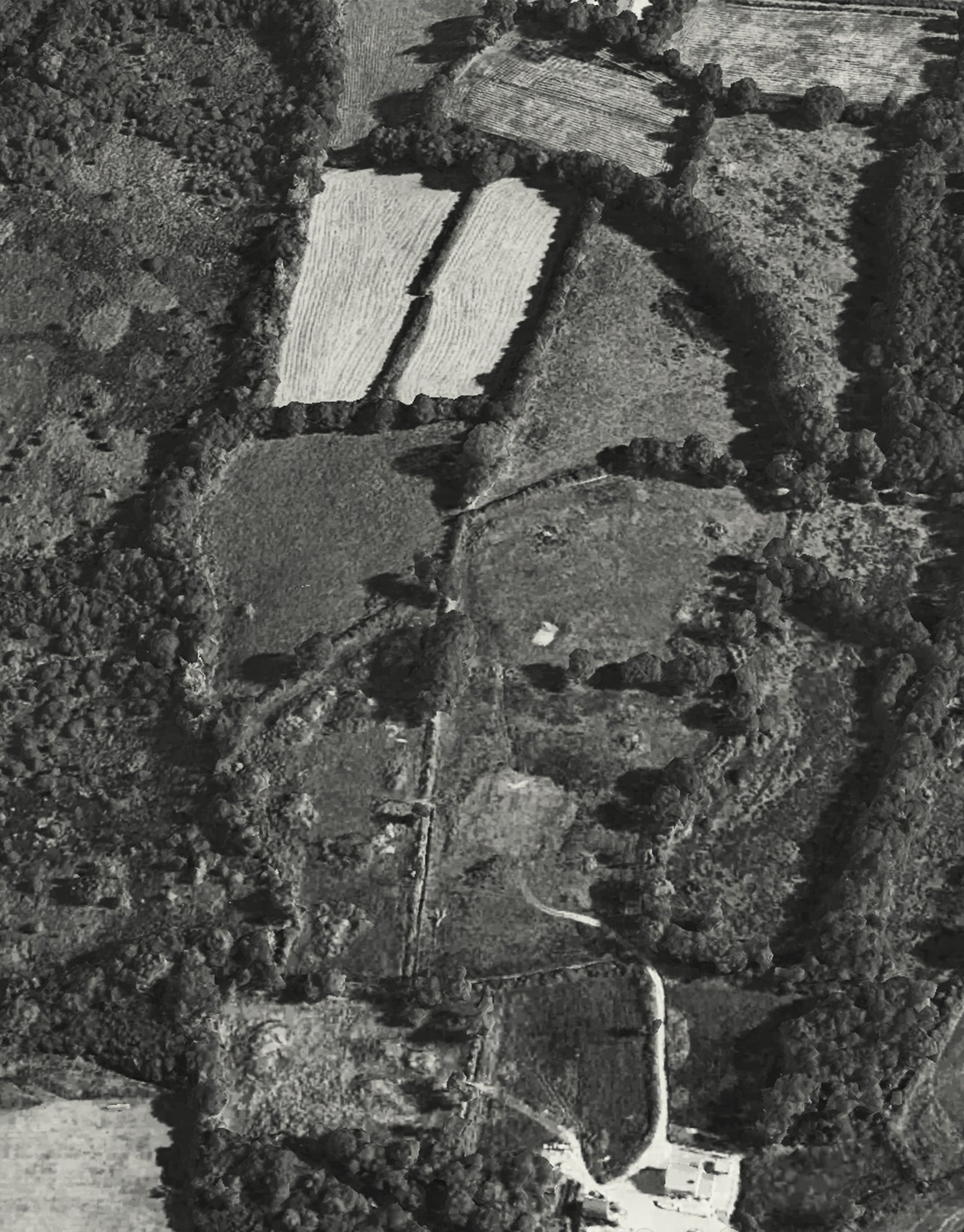 The route continues along a traditional public access path towards Gelli Gweirdy Farm, following rights of way that have connected rural communities for generations. These green-dotted paths shown on Ordnance Survey maps often follow ancient tracks established long before formal highways existed.The surrounding farmland illustrates how agriculture remained an essential part of life, even during the height of coal mining. Many local mining families supplemented their income by keeping livestock or working th
