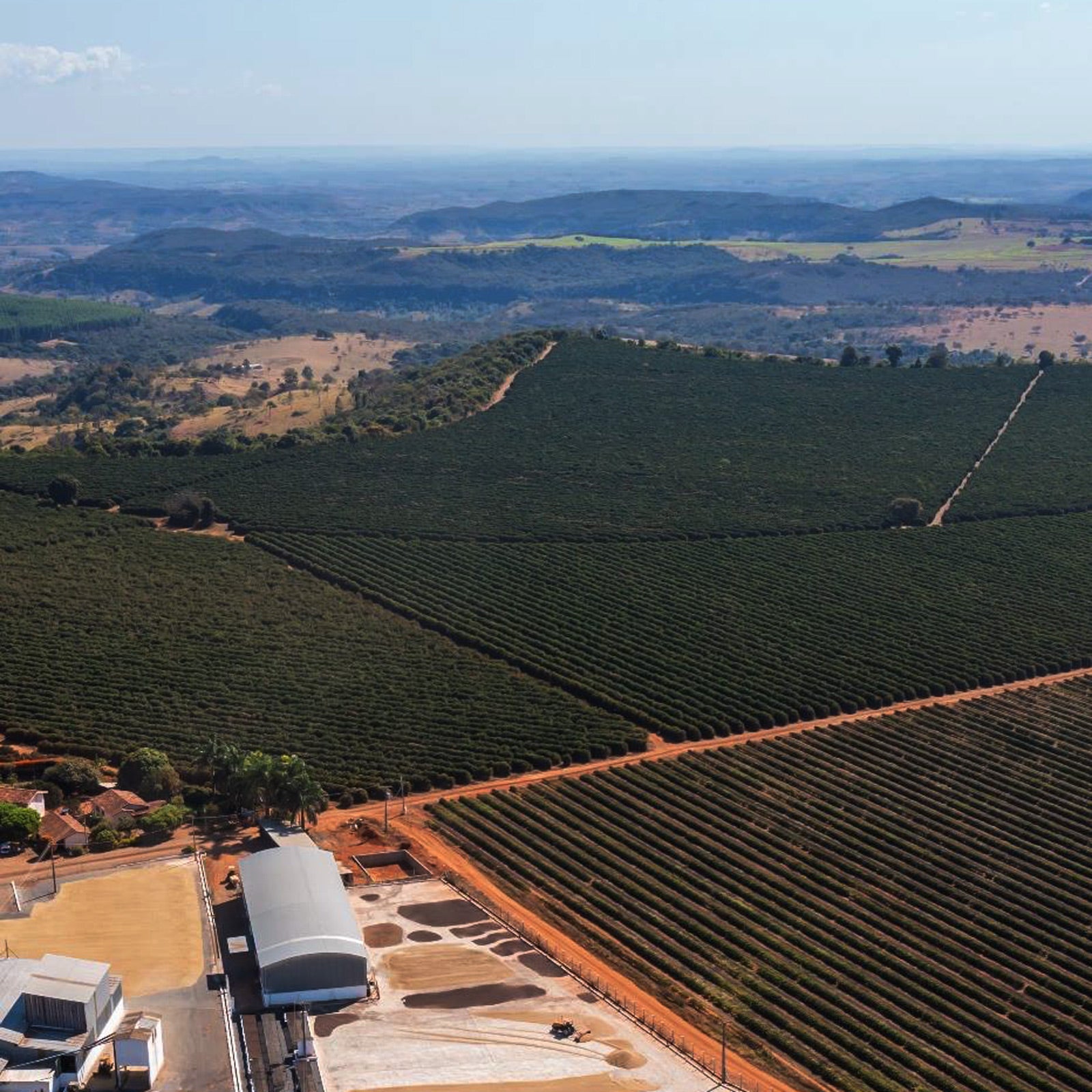 Deep Winter Seasonal Coffee Single Origin Christmas 200g Bag FAZENDA CATANDUVA