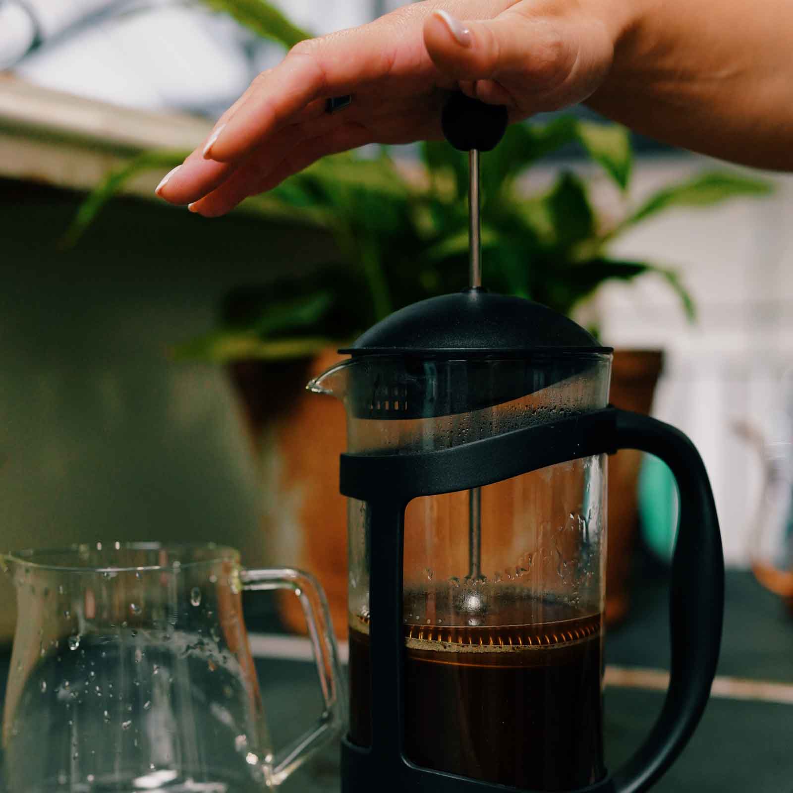 Person using a French press to make coffee with a blurred background