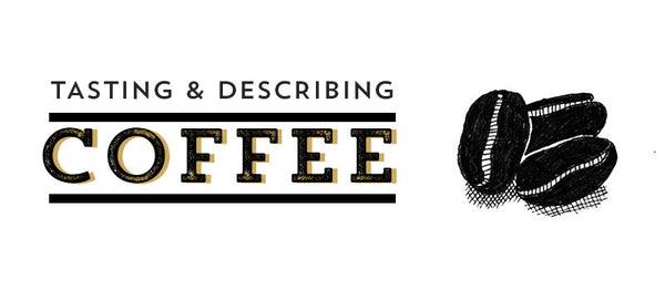 Tasting and Describing Your Coffee