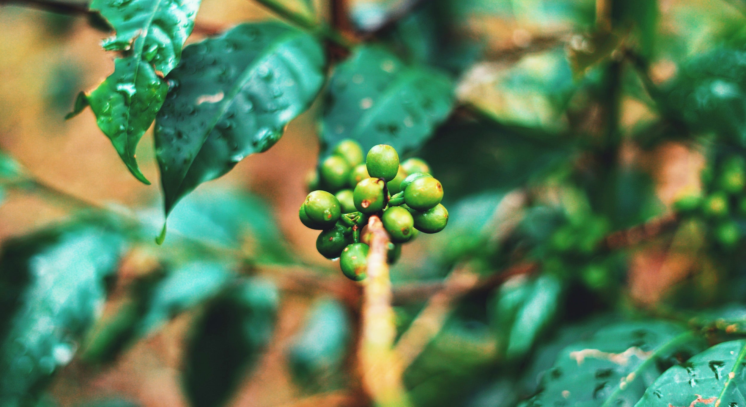 B Corp Month: Why Working With Fellow B Corps Matters