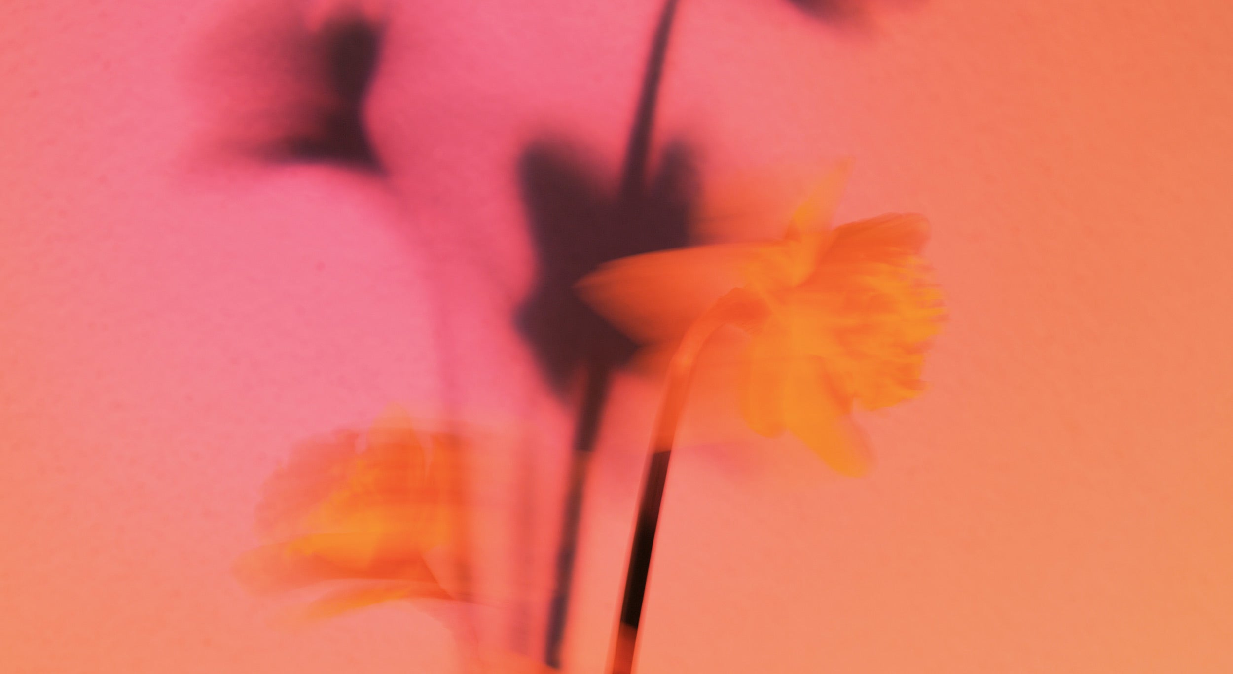 Supporting Our Community: Bloom Coffee & the Jac Lewis Foundation