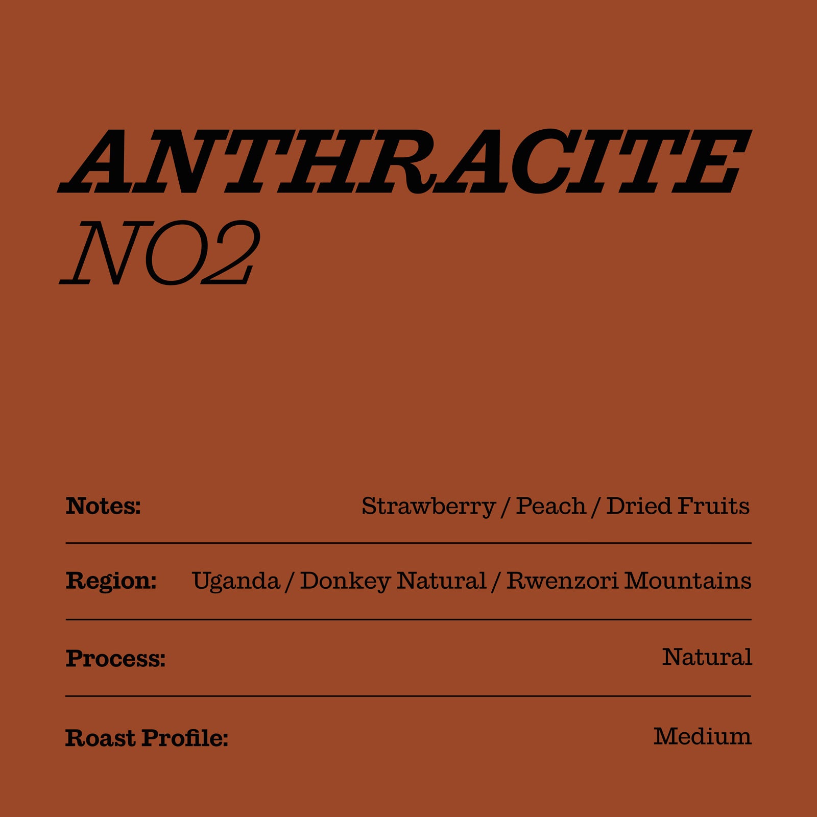 Anthracite No.2 House Coffee Card Specialty Coffee Strawberry Peach Dried Fruits Uganda Beans