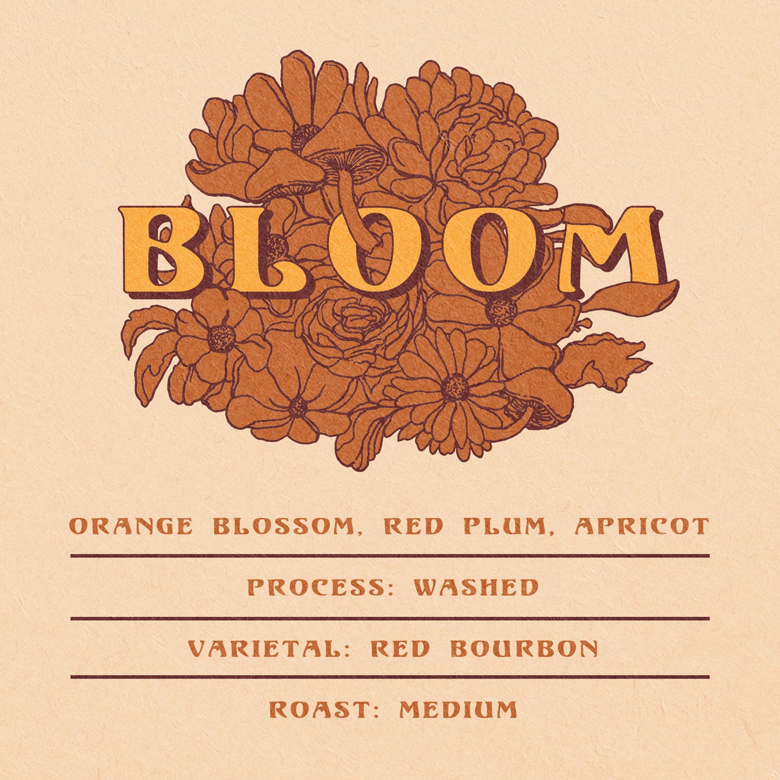 Bloom Seasonal Origin Coffee