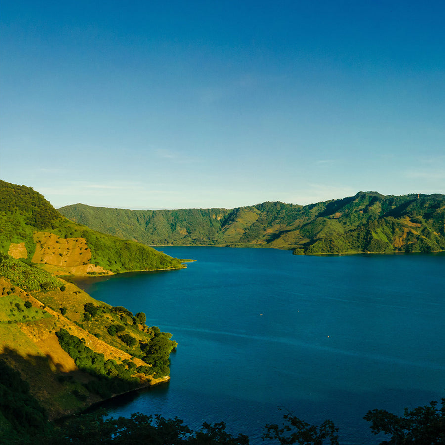 Guatemala Coffee Region | Guatemala Coffee Beans