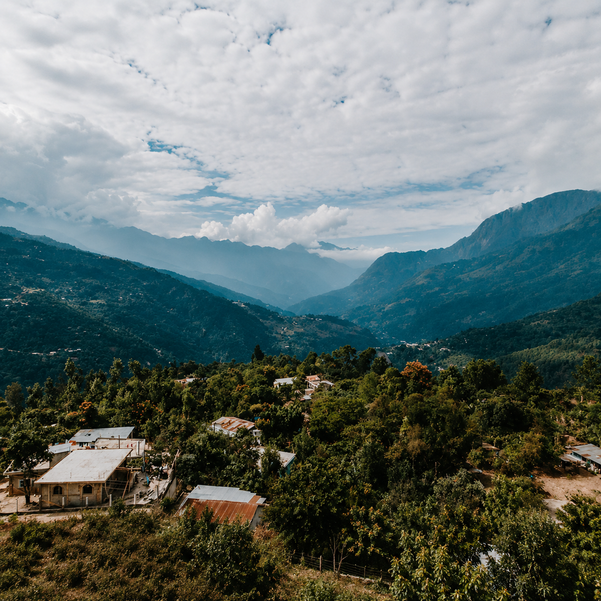Jabiru coffee farm in Guatemala