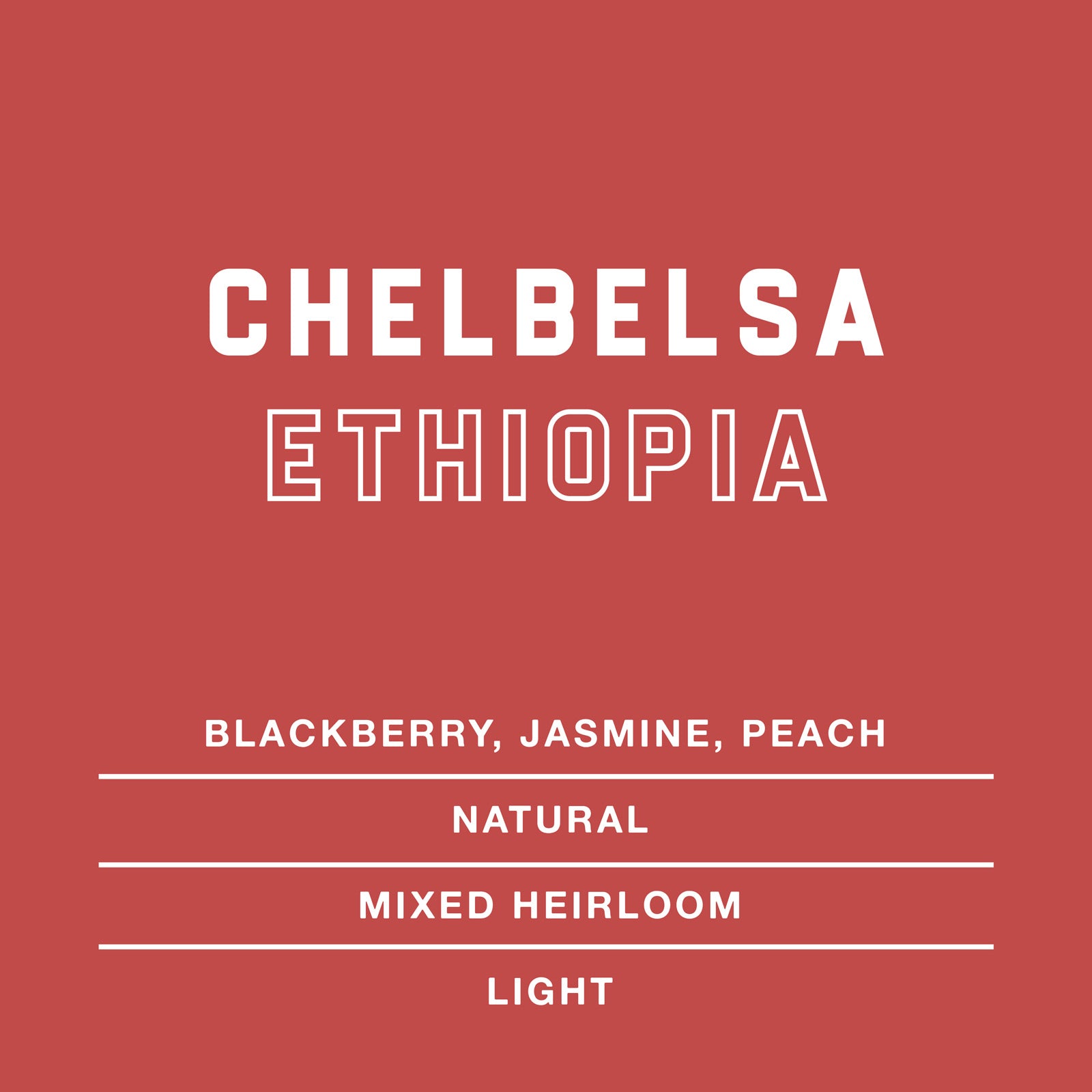 Chelbelsa-Ethiopia-Single-Origin-Coffee