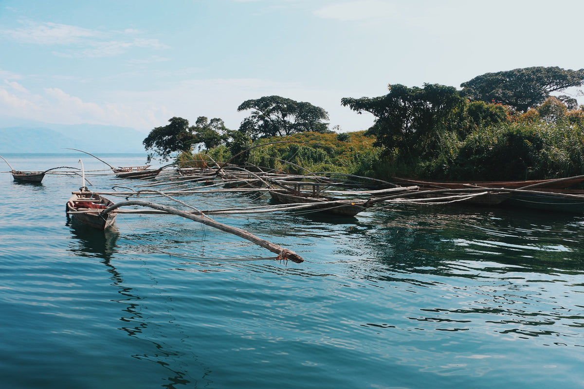 Dr Congo river with traditional fishing boats byt the waters edge with lots of trees 
