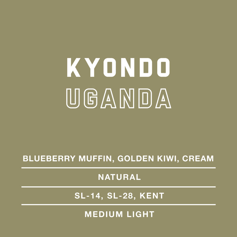 Kyondo-Uganda-Single-Origin-Coffee