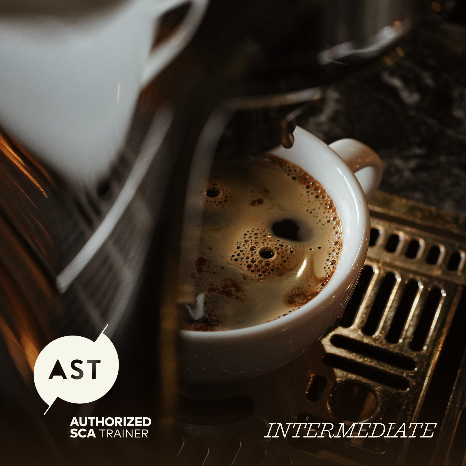 SCA Intermediate Barista Workshop