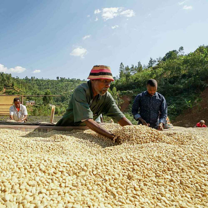 Brazil Coffee Region | Brazil Coffee Beans