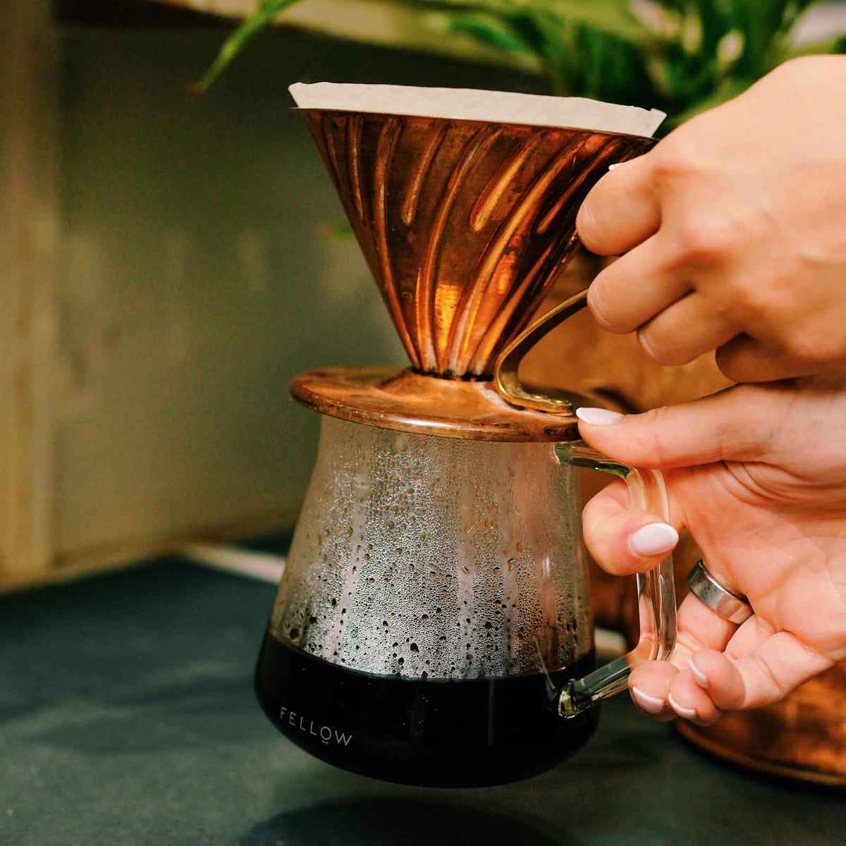 V60 Coffee Brew Guide