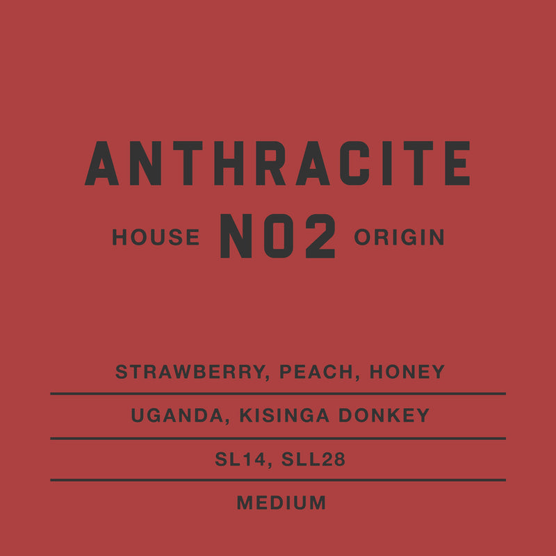 Anthracite-No2-House-Co
