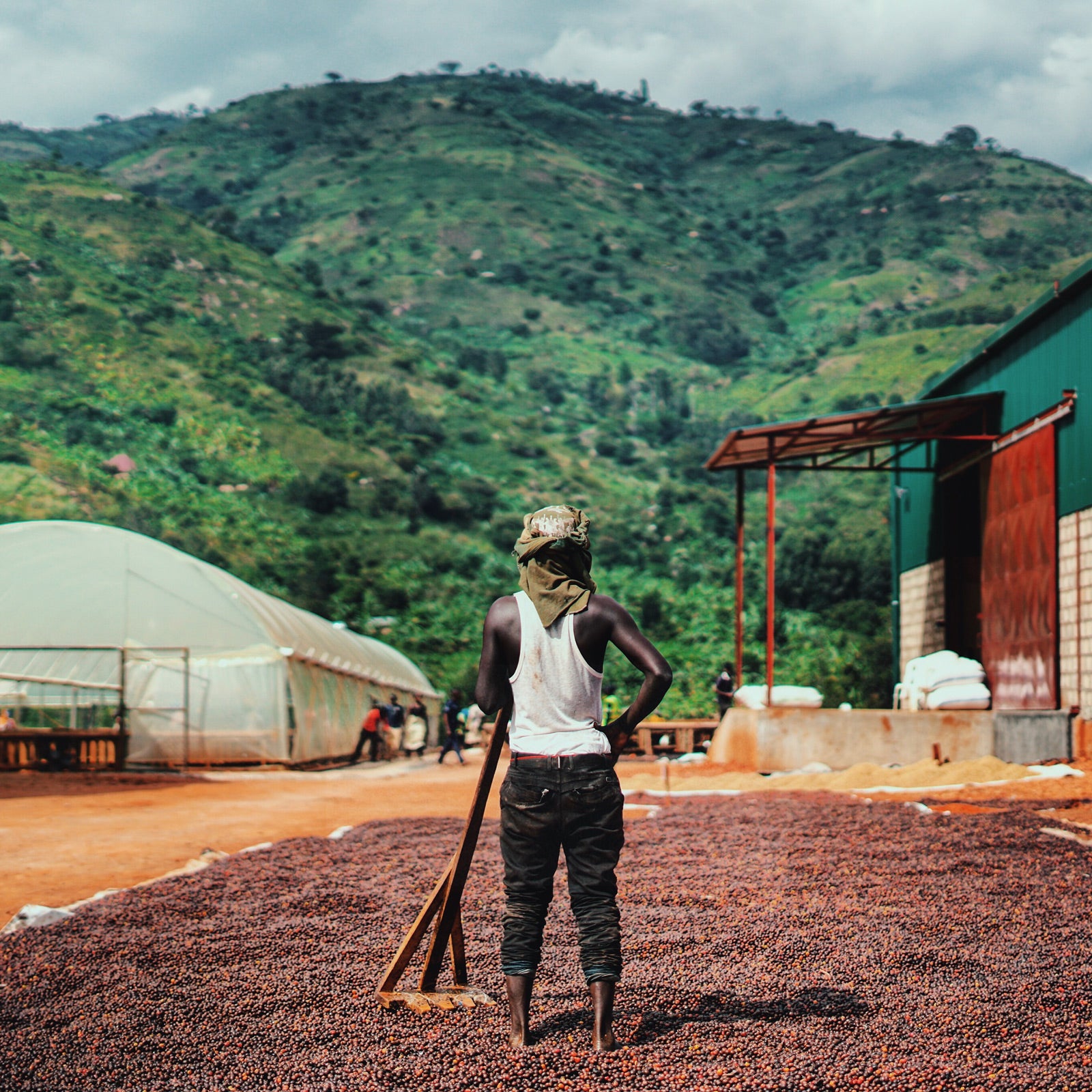 Bugoye Washing Station, Kasese, Uganda